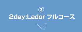 [3] 2day：Lador フルコース （[2]course+アイブロウ）