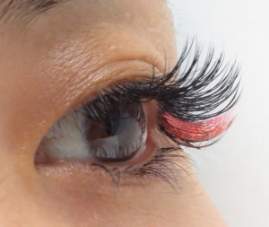 img_0410-%e3%82%b3%e3%83%94%e3%83%bc